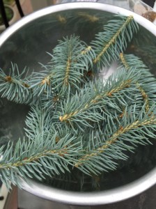 File 2015-07-13, 1 38 32 PM