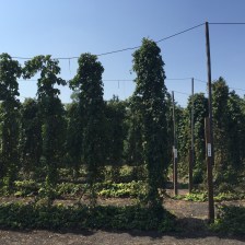 20150902_190223094_iOS