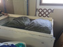 20150902_192903543_iOS