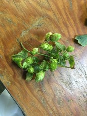 20150902_192933285_iOS