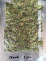 20150919_163650000_iOS