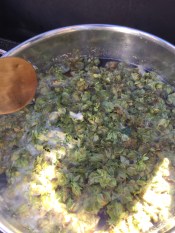 20150919_194421160_iOS